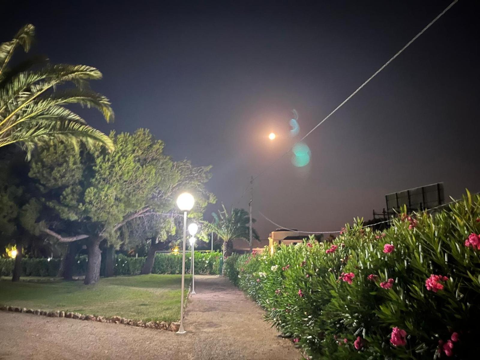 Appartamento Pis la rapita Alcanar Esterno foto